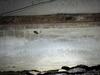 Crawl Space Encapsulation & Dehumidifier in Dallas, TX - Photo 3