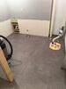 Prepping to Finish a Basement in Rensselaer, NY - Photo 1