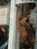 Strom DamageD Gutters Replaced in Lithnia, GA - Photo 1