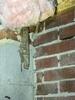 NASTY Crawlspace Inspection and Solution in Raeford, NC - Photo 1