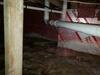 Crawl Space Moisture and Failing Support Beam Issues Repaired  in Sturgeon Bay, WI - Photo 3