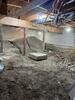 Crawl space Repair & Encapsulation in East Burke, Vermont | Matt Clark's Northern Basement Systems - Photo 3