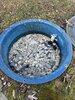 Septic Repair in Sterling, VA - Photo 1