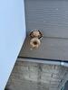 Hose Bib Repair in Waterford, VA - Photo 7