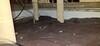 Crawl Space Encapsulation & Dehumidifier in Dallas, TX - Photo 5