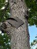 Roor Replaced in Audubon, MN | IKO Dynasty in Glacier Grey - Photo 2