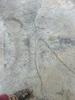 Concrete Repair in Manchester, TN - Photo 5