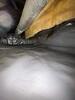 Crawl Space Repair in Dresden, TN - Photo 7