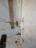 Crawl Space Waterproofing & Encapsulation in Sullivan, New Hampshire | Matt Clark's Northern Basement Systems - Photo 3
