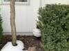Advanced Multi-Foundation Radon Mitigation Redesign Planned for Fairfield Home - Photo 1