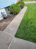 Concrete Walkway Lifted and Repaired by Contractor in Oshkosh, WI - Photo 7