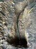 Water Service Repair in Middleburg, VA - Photo 4