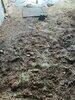 Water Service Repair in Middleburg, VA - Photo 3