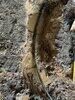 Water Service Repair in Middleburg, VA - Photo 2
