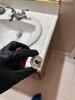 Toilet Repair in Marshall, VA - Photo 7