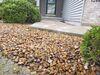 Sunken Concrete Walkway Lifted and Leveled in Fond Du Lac, WI - Photo 5
