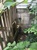 Pipe Leak in Millwood, VA - Photo 3