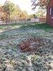 Septic Inspection in Elkwood, VA - Photo 3