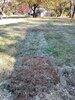 Septic Inspection in Elkwood, VA - Photo 1