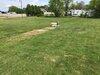 Water Treatment Estimate in Stevensburg, VA - Photo 2