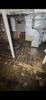 Septic Tank Back Up - CLEANED - Photo 1