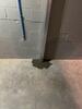Wall Repair in Dawson Springs, KY - Photo 3