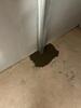 Wall Repair in Dawson Springs, KY - Photo 1