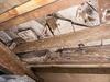 Mold Remediation for Crawlspace in Dallas, TX - Photo 2