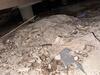 Mold Remediation for Crawlspace in Dallas, TX - Photo 1