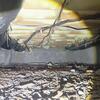 Vented Crawlspace Causing Comfort and Indoor Air Quality Problems in Highlands, NJ - Photo 1