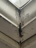 Johns Creek, GA 20-Year-Old Gutters with RainDrop System | Gutter Shutter of Greater Atlanta Delivers | Gutter Installation Suwanee, GA - Photo 5
