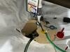 Damp and Musty Crawlspace Repaired and Insulated in Sturgeon Bay, Wisconsin - Photo 7