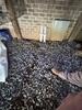 Crawl Space Repair in Nashville, TN - Photo 7