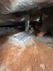 Crawl Space Repair in Clarksville, TN - Photo 10