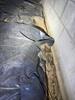 Crawl Space Repair in Clarksville, TN - Photo 2