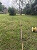 Well Pump Install in Quicksburg, VA - Photo 4