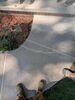 Cracked, Sunken and Deteriorated Concrete Driveway Repaired in Green Bay, Wisconsin - Photo 3