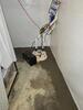Basement Blues Washed Away in Bridgeville, PA - Photo 1
