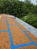 Roof Replacement in Suffield, CT - Photo 4