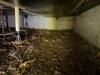 From Musty to Pristine: Mark & Tina's Crawl Space Transformation - Photo 1