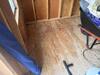 Carpenter Ants Take Control of the Shed in Avenel, NJ - Photo 1