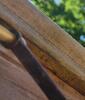 Carpenter Bees Drill Into Wood Railing in Atlantic Highlands, NJ - Photo 1
