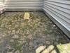 Heavy Digger Bee Activity in Lakewood, NJ - Photo 1