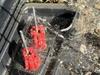 Black Widow Spins It's Webs Inside Bait Station in Keansburg, NJ - Photo 2