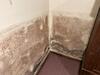 Black Mold Growing in the Closet in Allenhurst, NJ - Photo 1