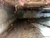 Crawl Space Repair in Ripton, Vermont | Matt Clark's Northern Basement Systems - Photo 1