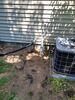 Wet Basement Repaired with New Sump Pump and Buried Discharge in Kronenwetter, WI - Photo 3