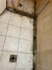 Basement Water Proofing in Sugar Tree, TN - Photo 6