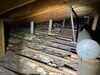 Restoring a rodent-contaminated attic in Canonsburg, PA 15317 - Photo 4