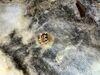 Restoring a rodent-contaminated attic in Canonsburg, PA 15317 - Photo 1